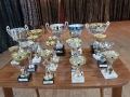 27604913_Trophies_web